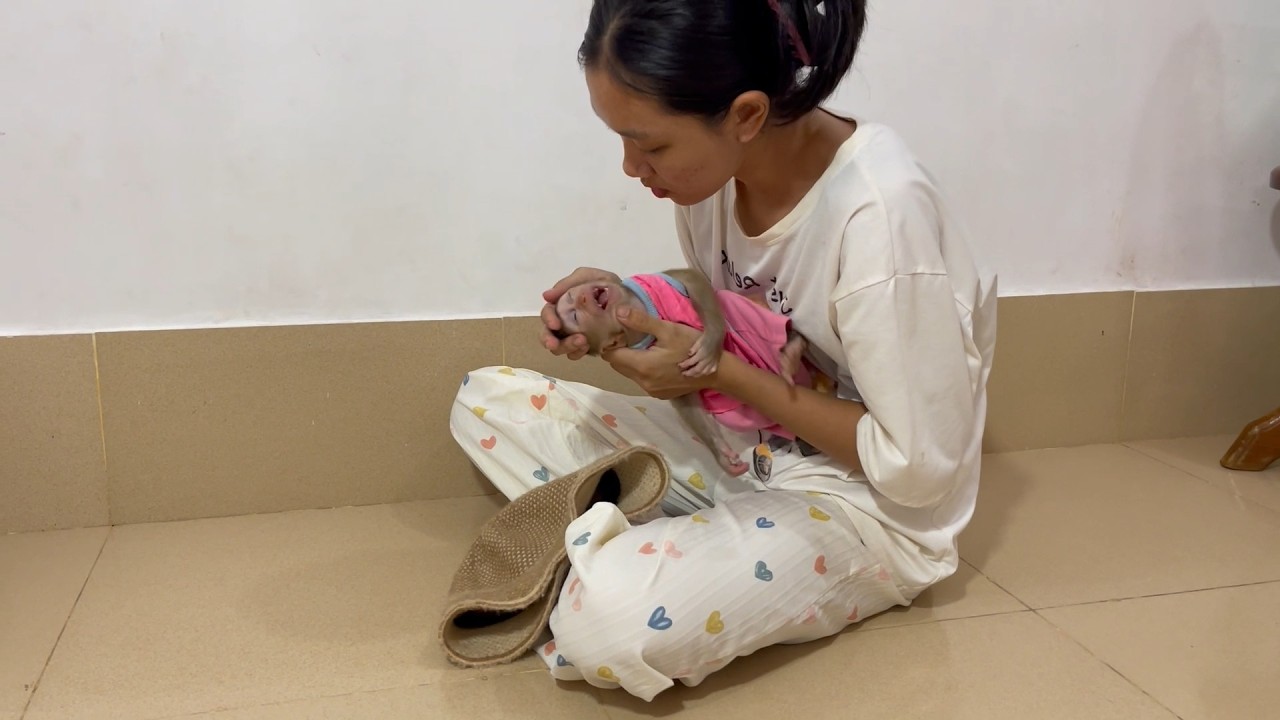 oMq..!! mom hrd to comfort super BiBi mnkey from c..yii