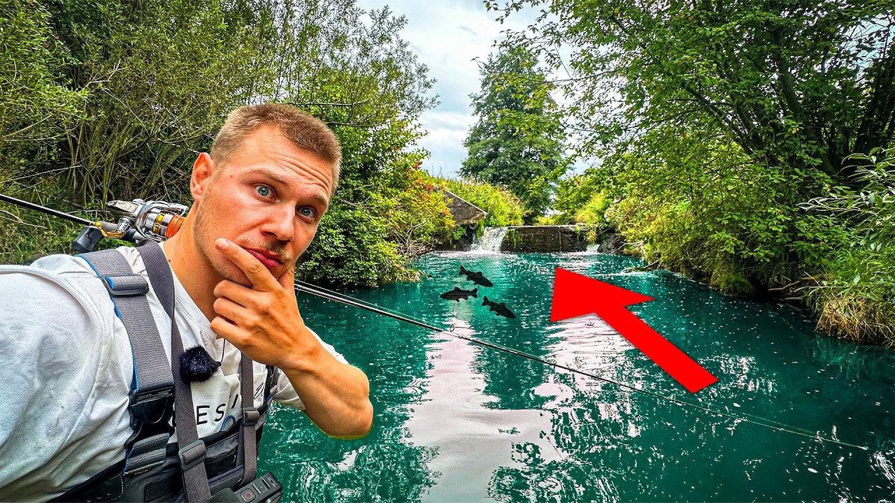 Was lebt an diesem Naturwehr mitten im Nirgendwo?