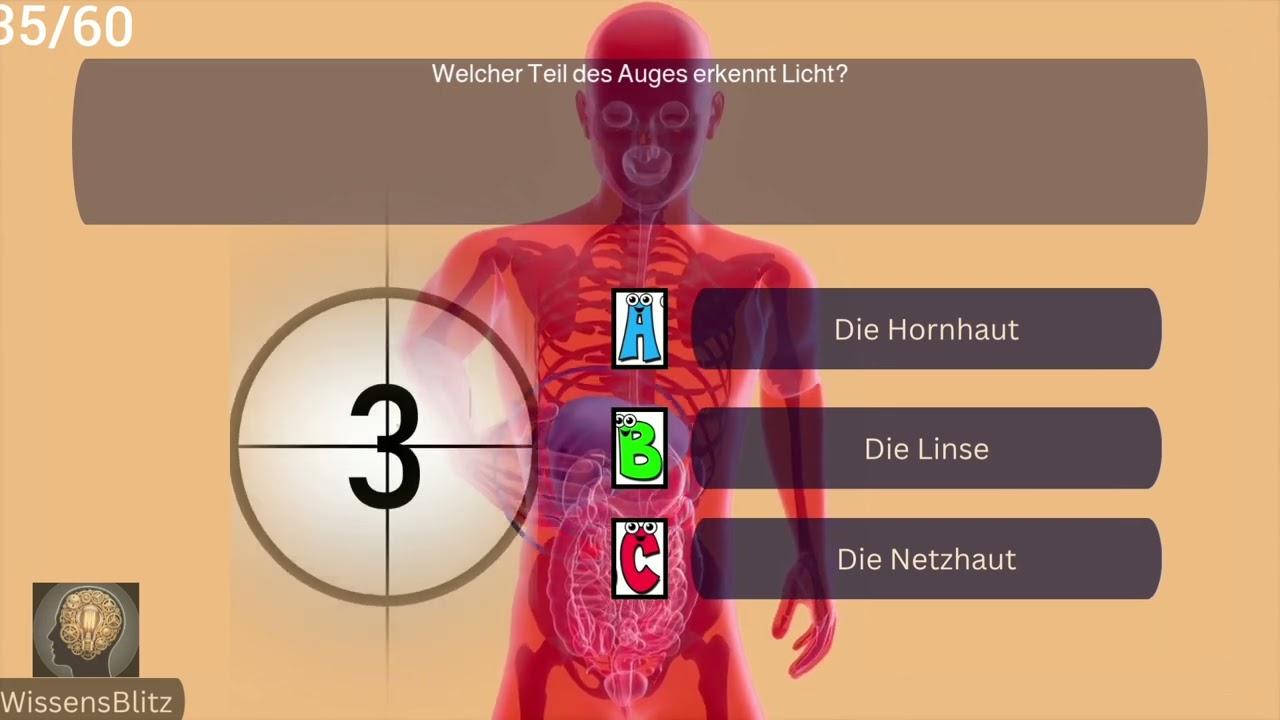 Das Gro&szlig;e Medizin & K&ouml;rper Quiz: 60+ Fragen, die dein Wissen testen! 🧠🩺 (Bist du ein Experte?)