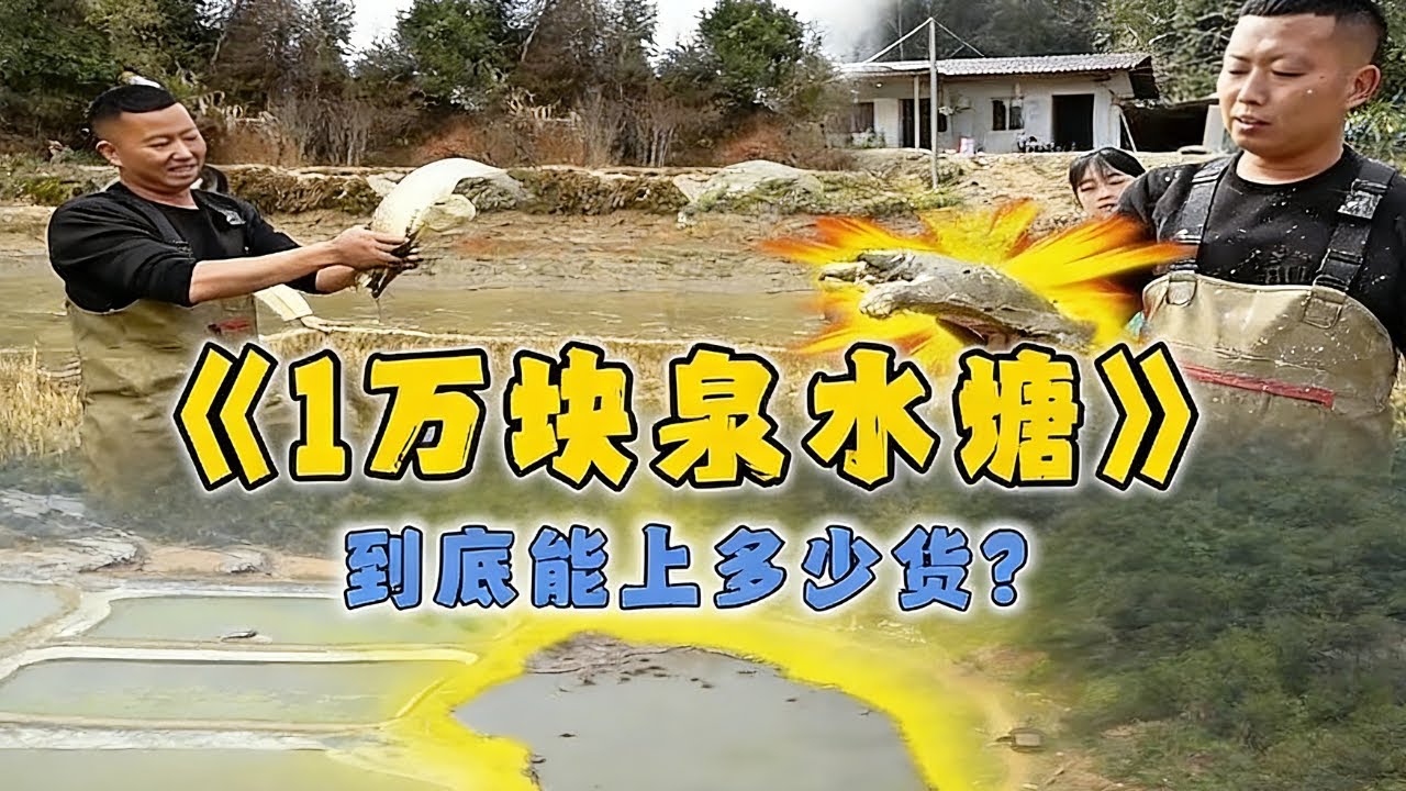 花10,000包下甲魚養殖場裡的魚塘，看看裡面能上多少貨... #戶外 #魚塘 #抓魚 #甲魚 #fishing