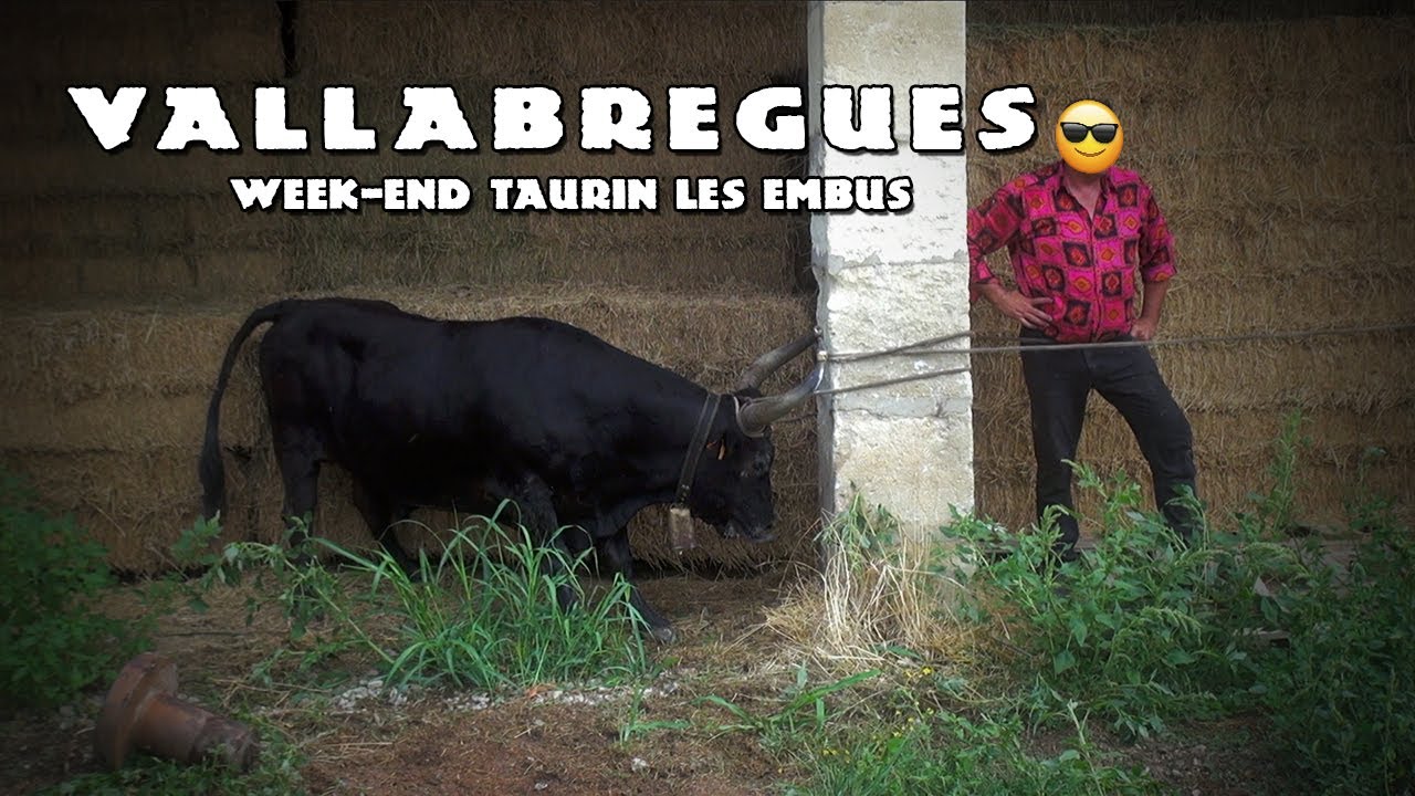VALLABREGUES Abrivado Longues - Bandido 3&4-09-2022 🌞