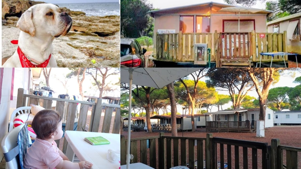 Glamping in Sardinia: €56 | Pet Friendly | ASMR (Camping Family Vol.2)