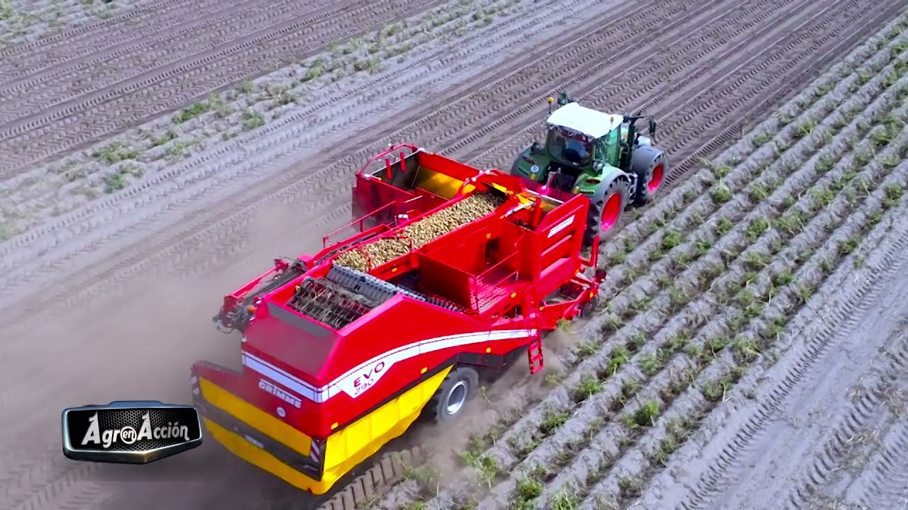 Agronovedades GRIMME | Alfersán Maquinaria