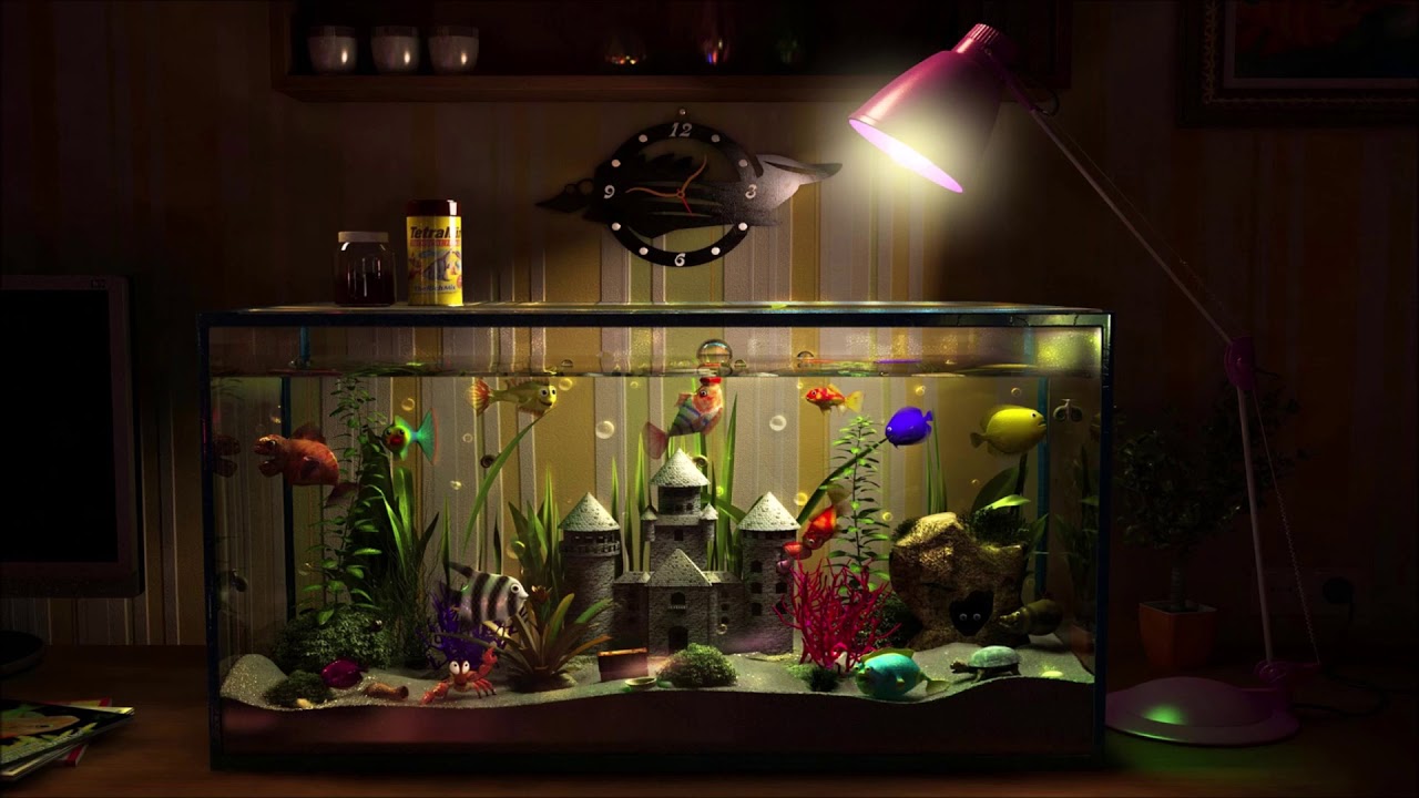 Harrison BDP - Fish In The Tank