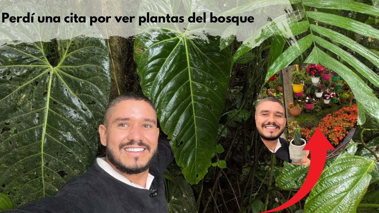 Iba a un almuerzo Y TERMINÉ EN UN BOSQUE Y EN UN VIVERO | César Correa 