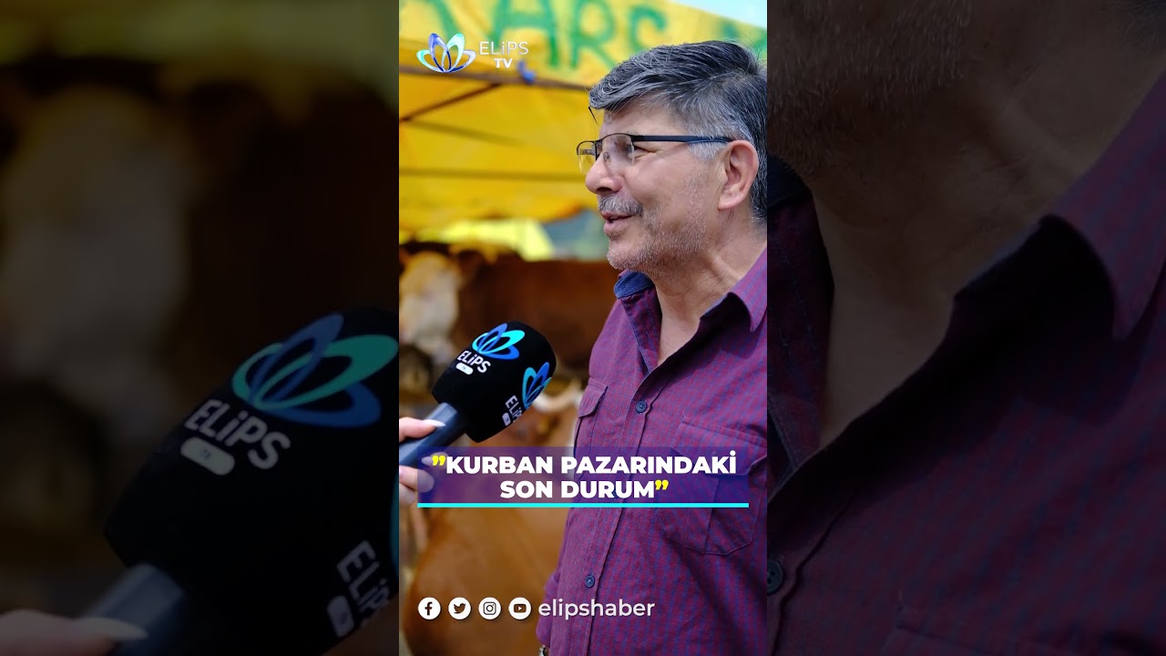 Kurban pazarındaki son durum