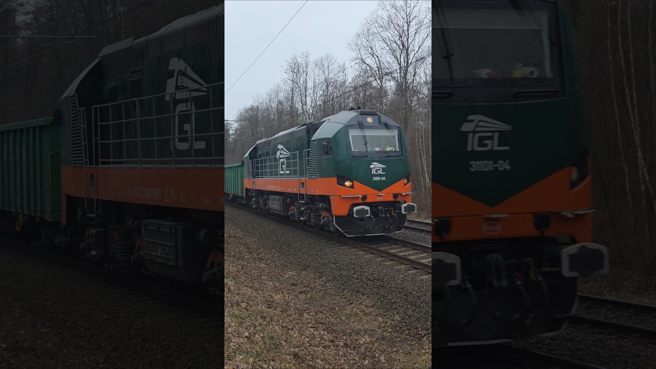 📯📣 311D1-04 pod banderą IGL ciśnie z węglarkami w kierunku Wrocławia. 12.03.26 Tarnawa
