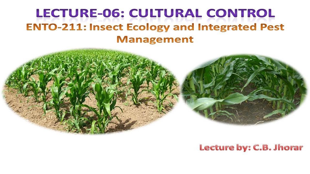 ENTO-  211 Lec 06: Cultural  Control