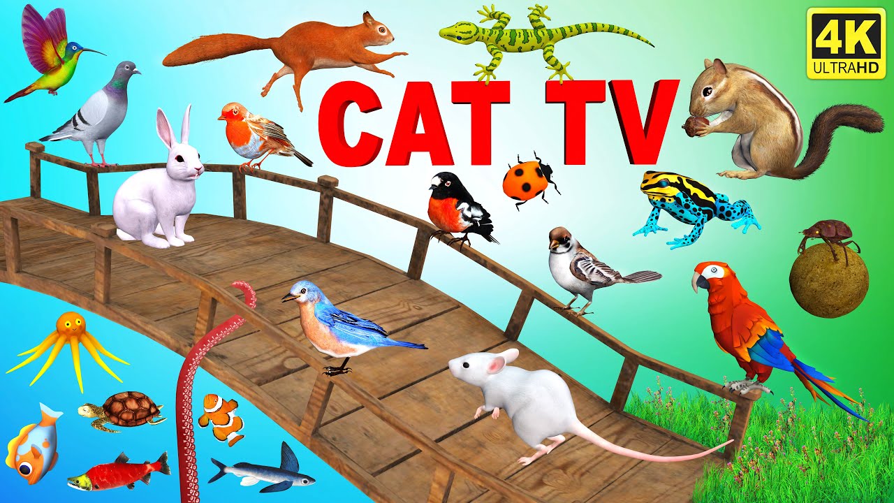 3d TV for Cats | Ultimate Cat TV Compilation Bugs, Mice, Birds & Fish | 3D Game for Cats to Watch