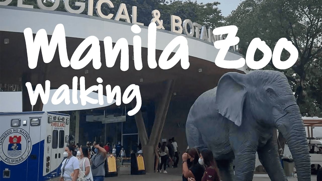 Manila Zoo Walking
