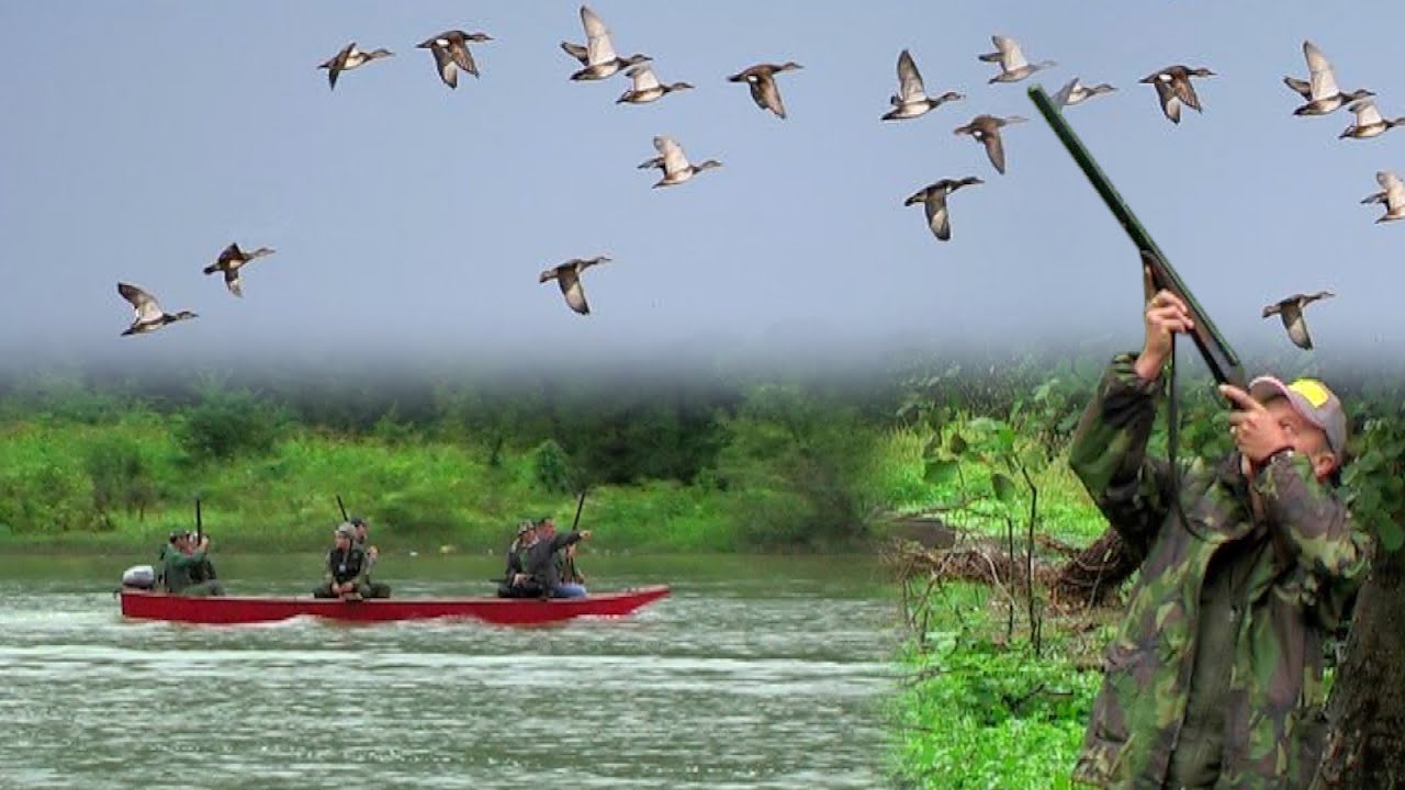 Hunting Serbia - Duck Hunting | Lov na divlje patke - Mali Zvornik | Caccia alle anatre