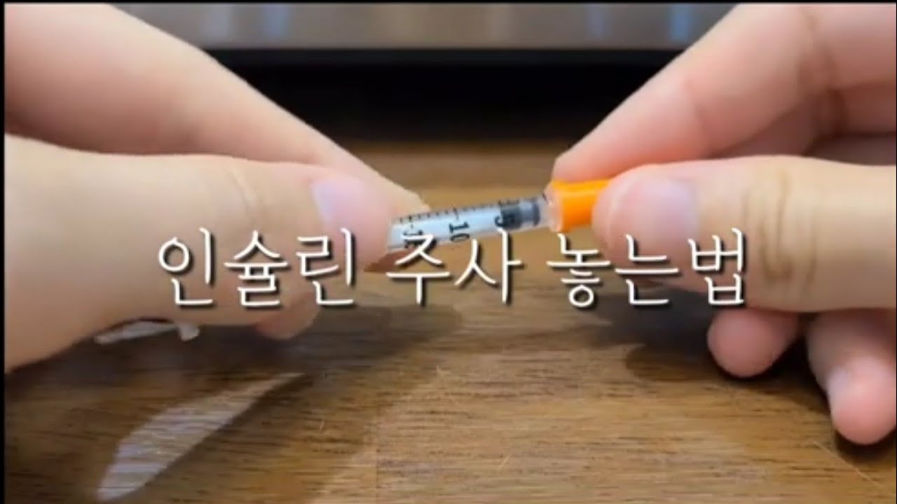 당뇨병 고양이 인슐린 주사 맞추기