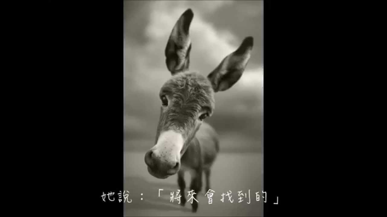 【歌詞】深情誦讀版《我的滑板鞋》(2014網絡神曲)