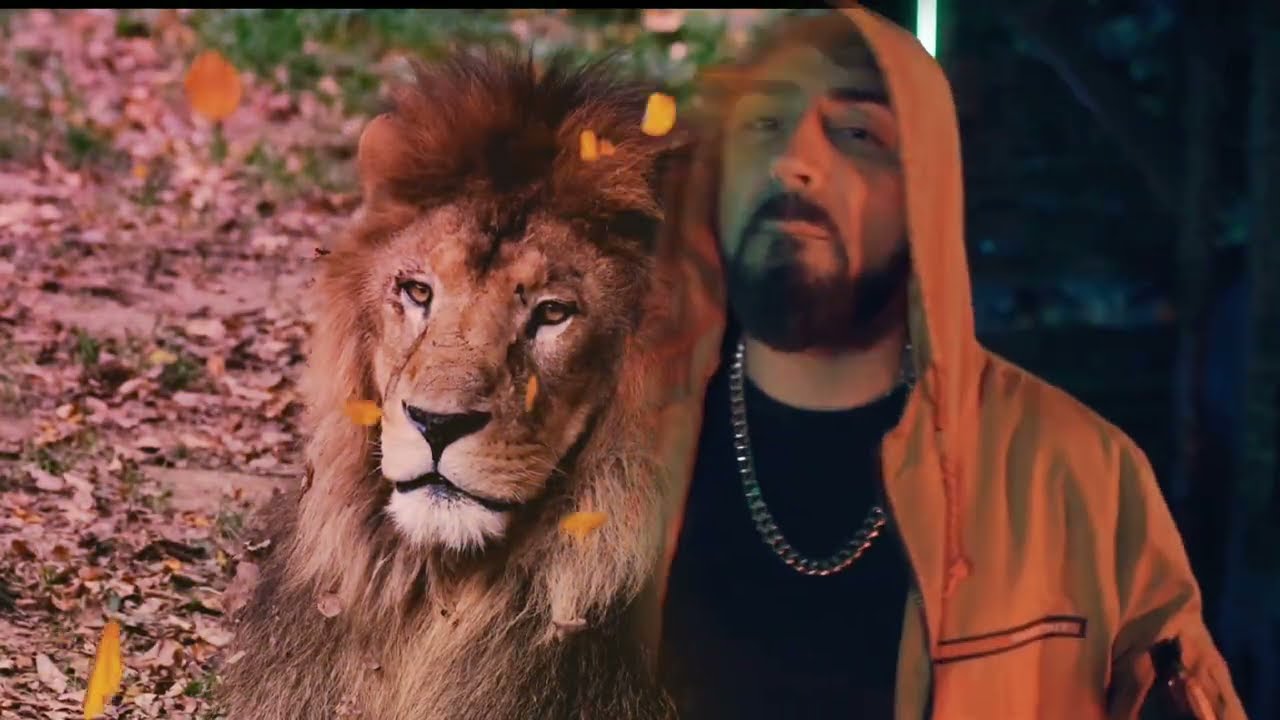 Geeflow - Aslan Gibi #geeflow