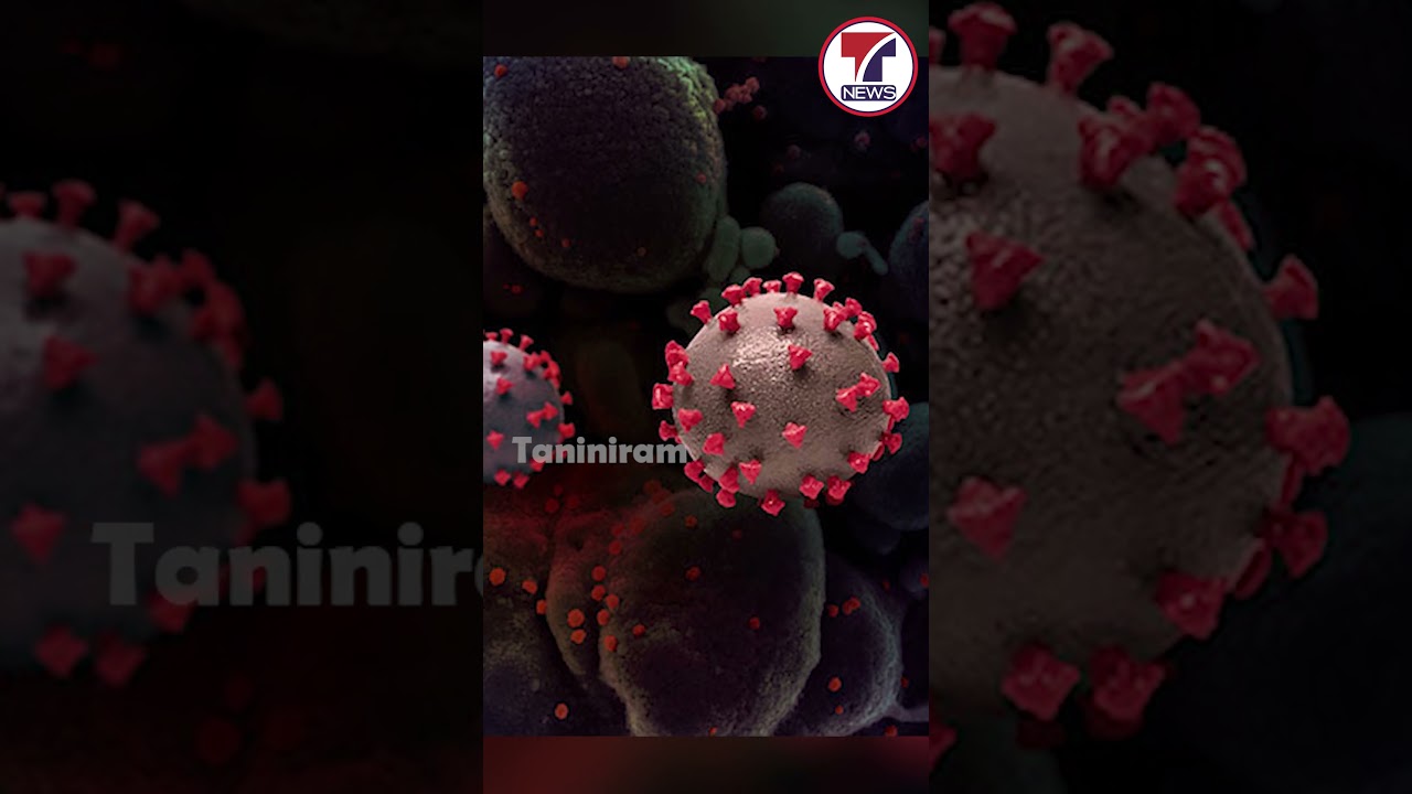 വീണ്ടും ലോക് ഡൗൺ&nbsp;? | COVID VIRUS AGAIN |  LOCKDOWN | COVID 2025