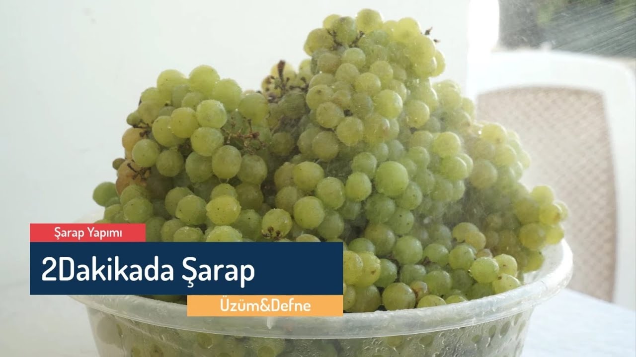 EVDE ŞARAP YAPIMI| ÜZÜM&DEFNE