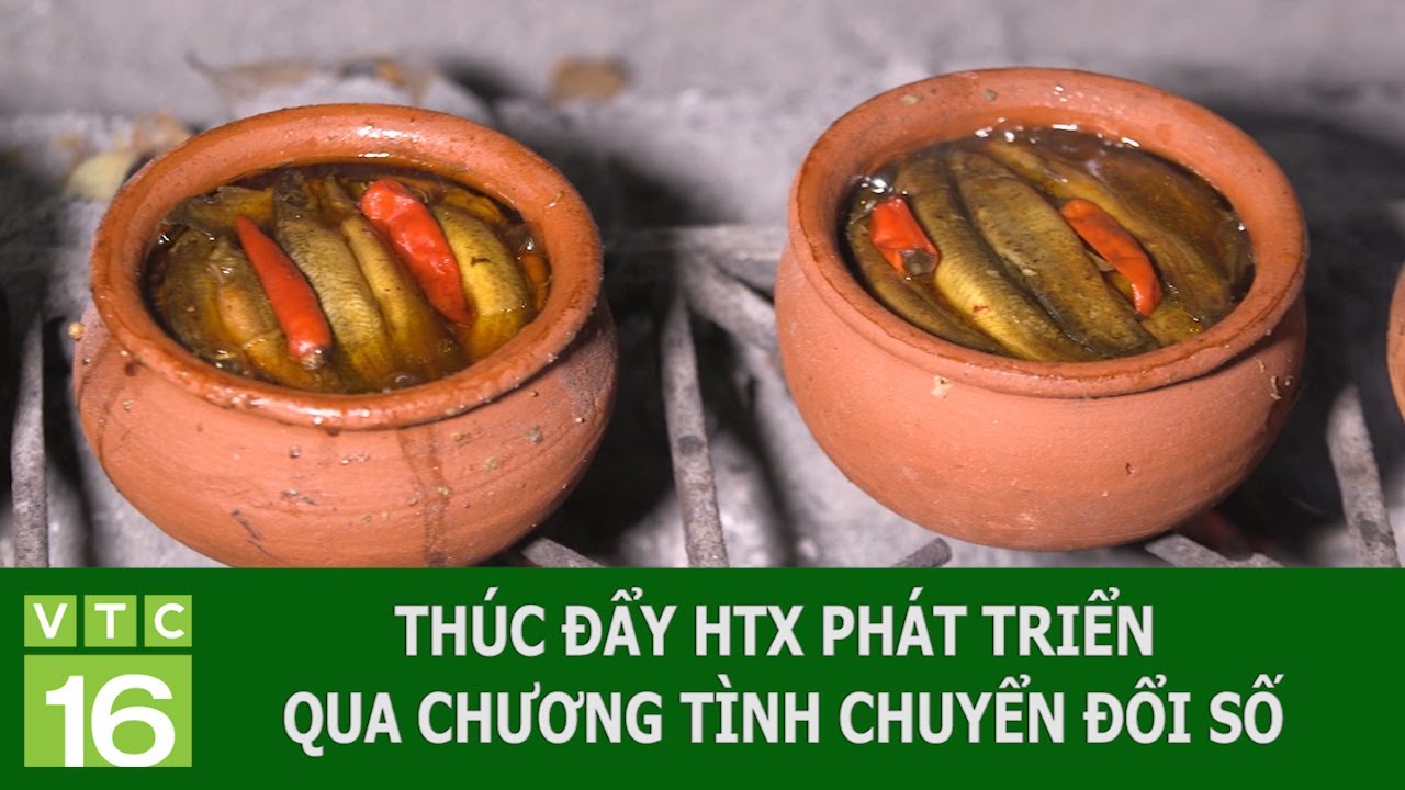 Thúc đẩy HTX phát triển qua chương trình chuyển đổi số | VTC16