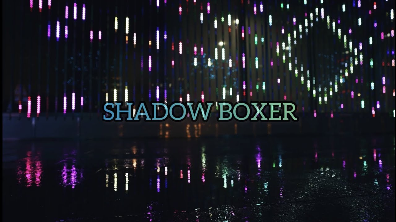 【カバー曲】SHADOW BOXER　氷室京介　Covered by Hakkou