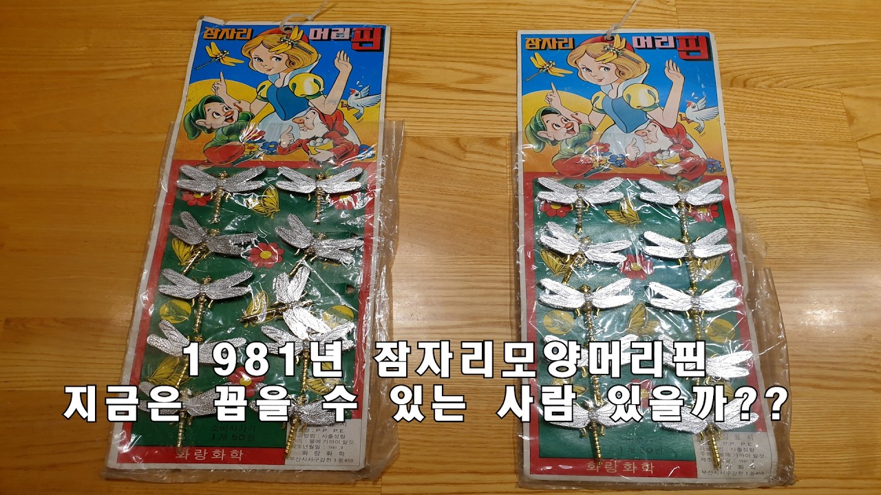 1981년 잠자리 모양 머리핀 지금하고 다니면??