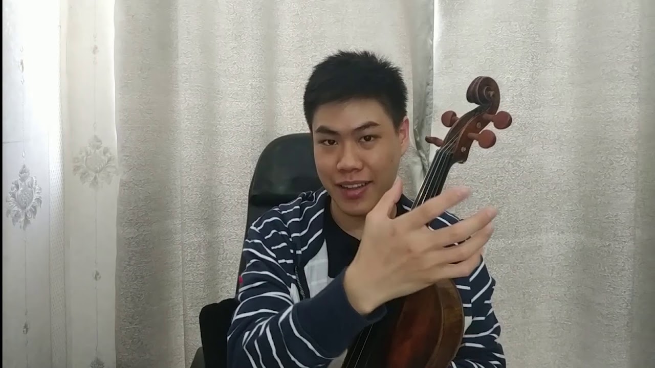 Belajar Biola, Mengenal Bagian-bagian Biola (Violin) dan Fungsinya Keseluruhan