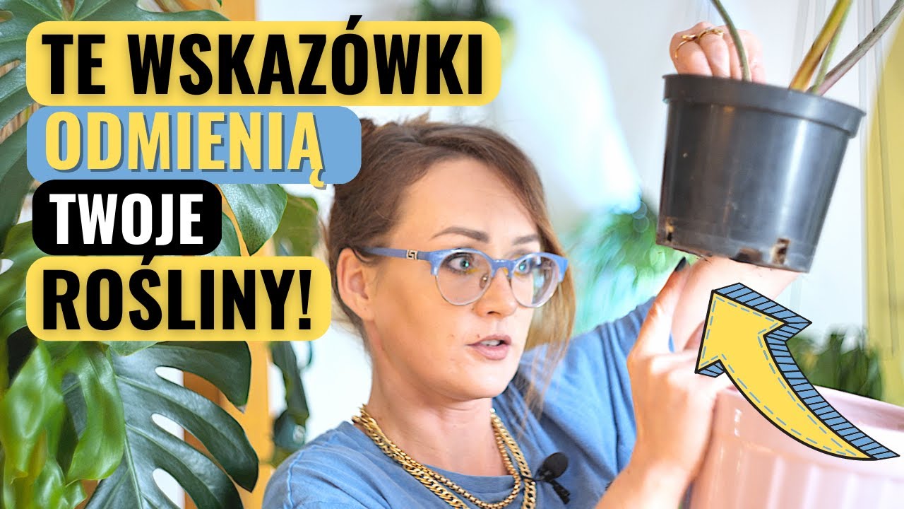 6 wskazówek co zrobić, żeby ROŚLINY domowe zdrowo dotrwały do wiosny