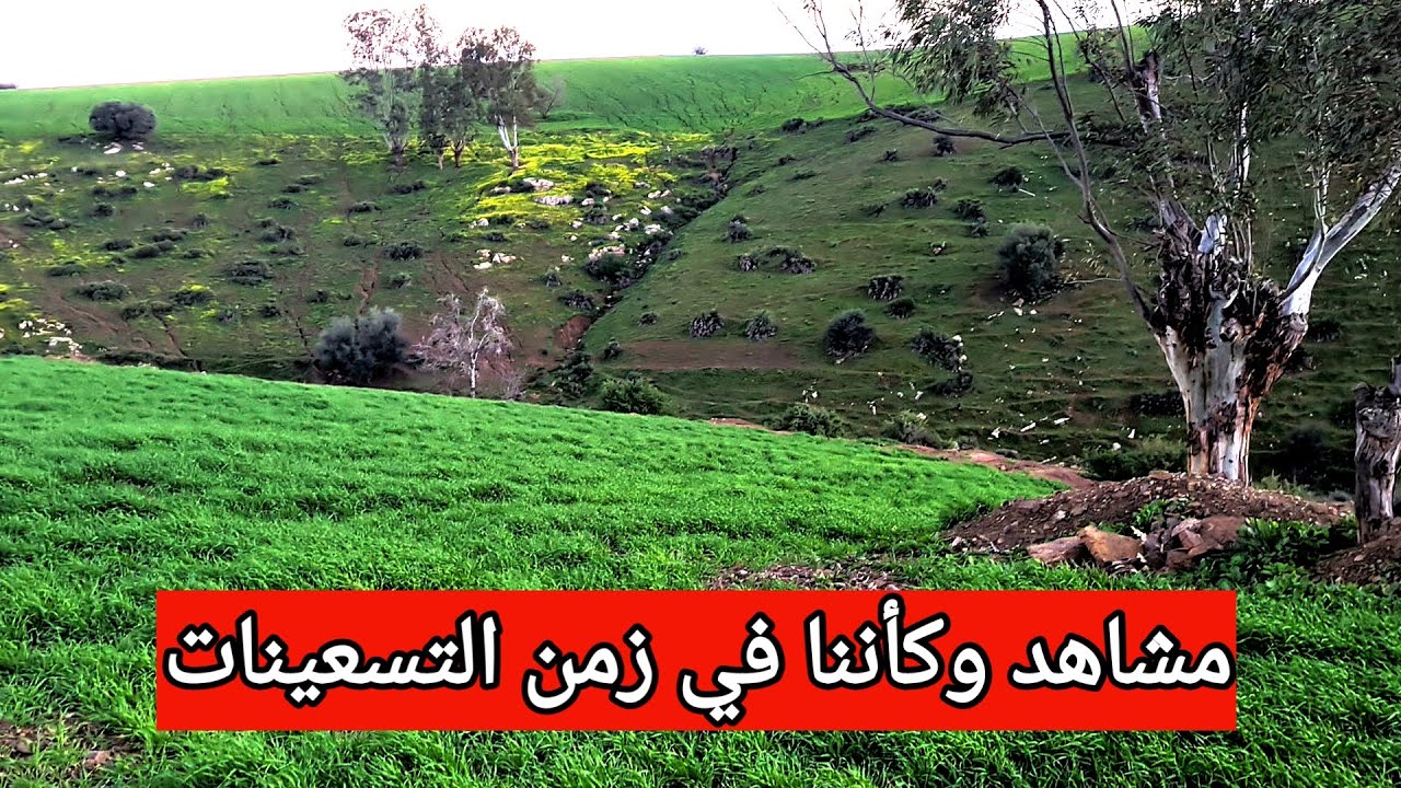 عام زين الله يكمل شوفو هد الخيرات نتاع النوار والزرع