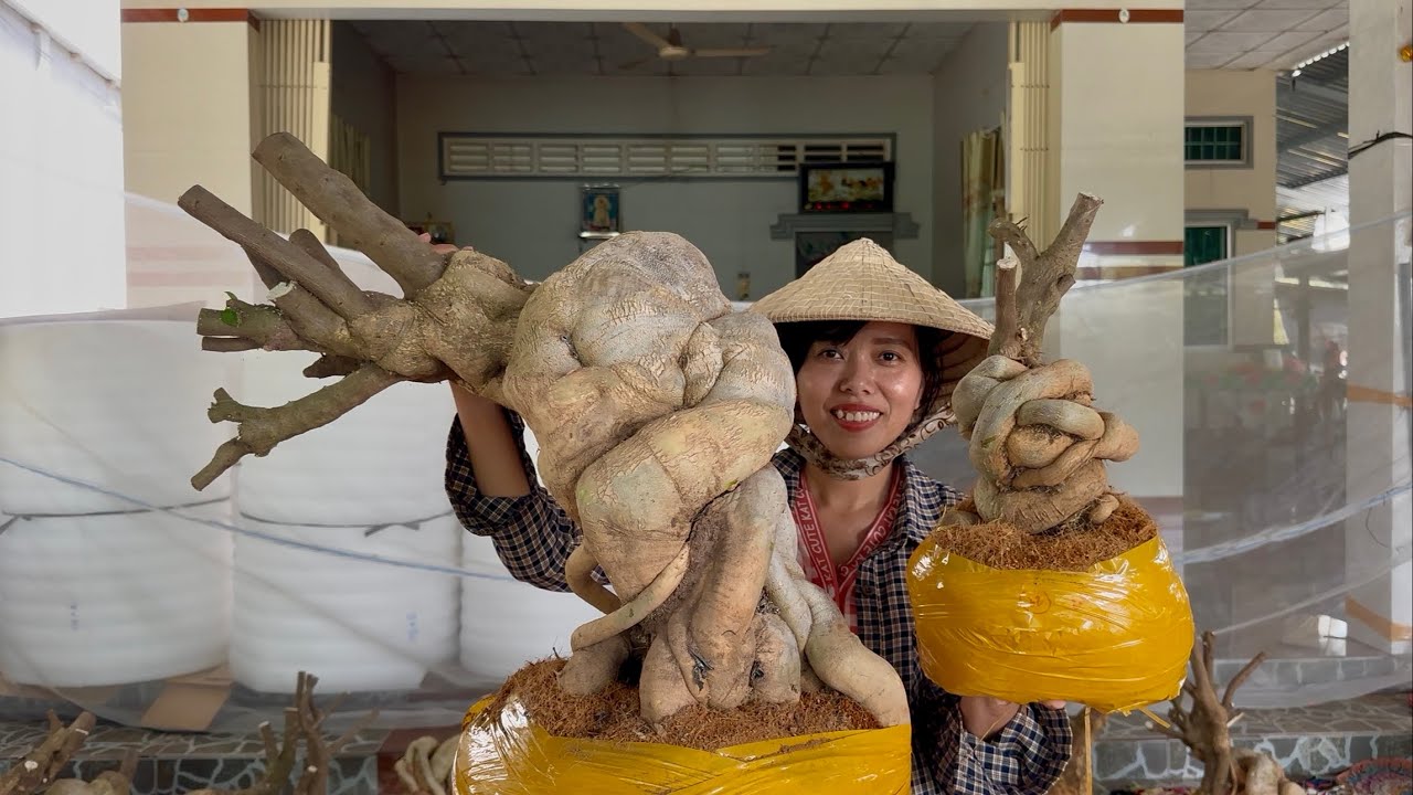 Phôi hoa giấy siêu đẹp lạ, nhiều kiểu dáng giao lưu toàn quốc bao phí ship ☎0939.421.599 Hương Đoàn