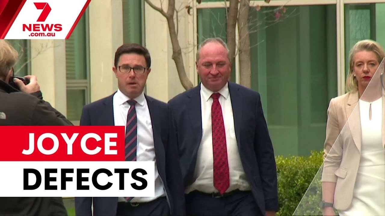 Barnaby Joyce defects to One Nation | 7NEWS