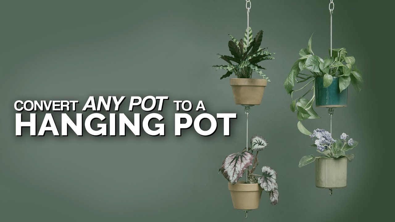 Turn Any Pot Into a Hanging Pot! 🤯