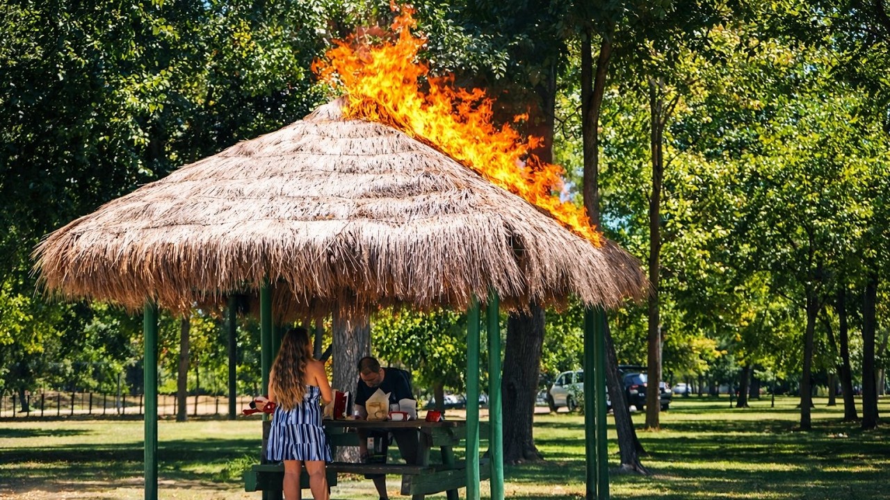 Best Epic Fails of the Week 😂 Ultimate Chaos Compilation #instantregret #idiotsatwork #idiotsincars