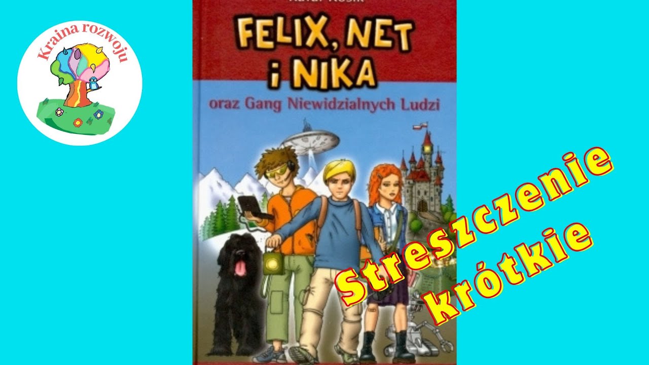 Streszczenie krótkie 