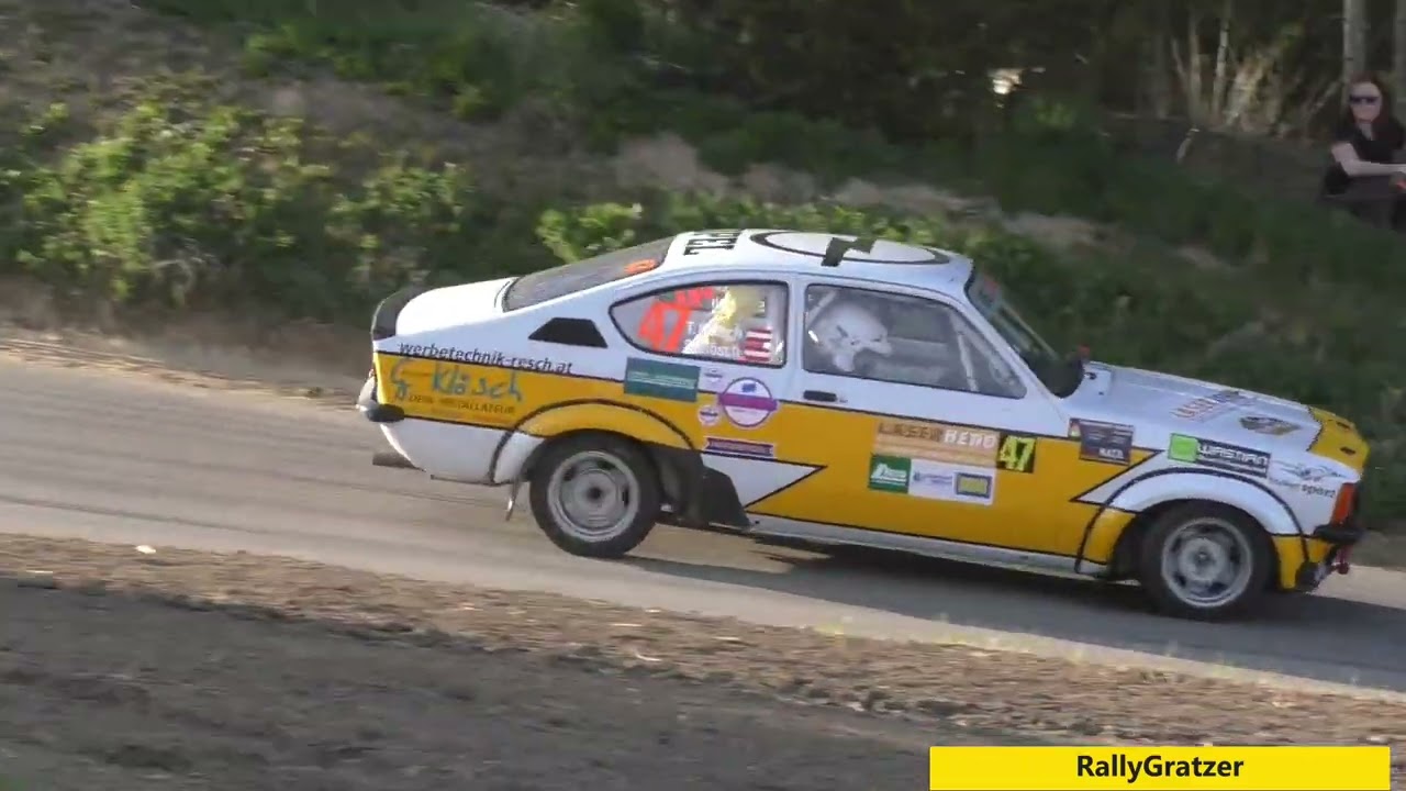 Lavantalrallye 2025 Action/Mistake/Night