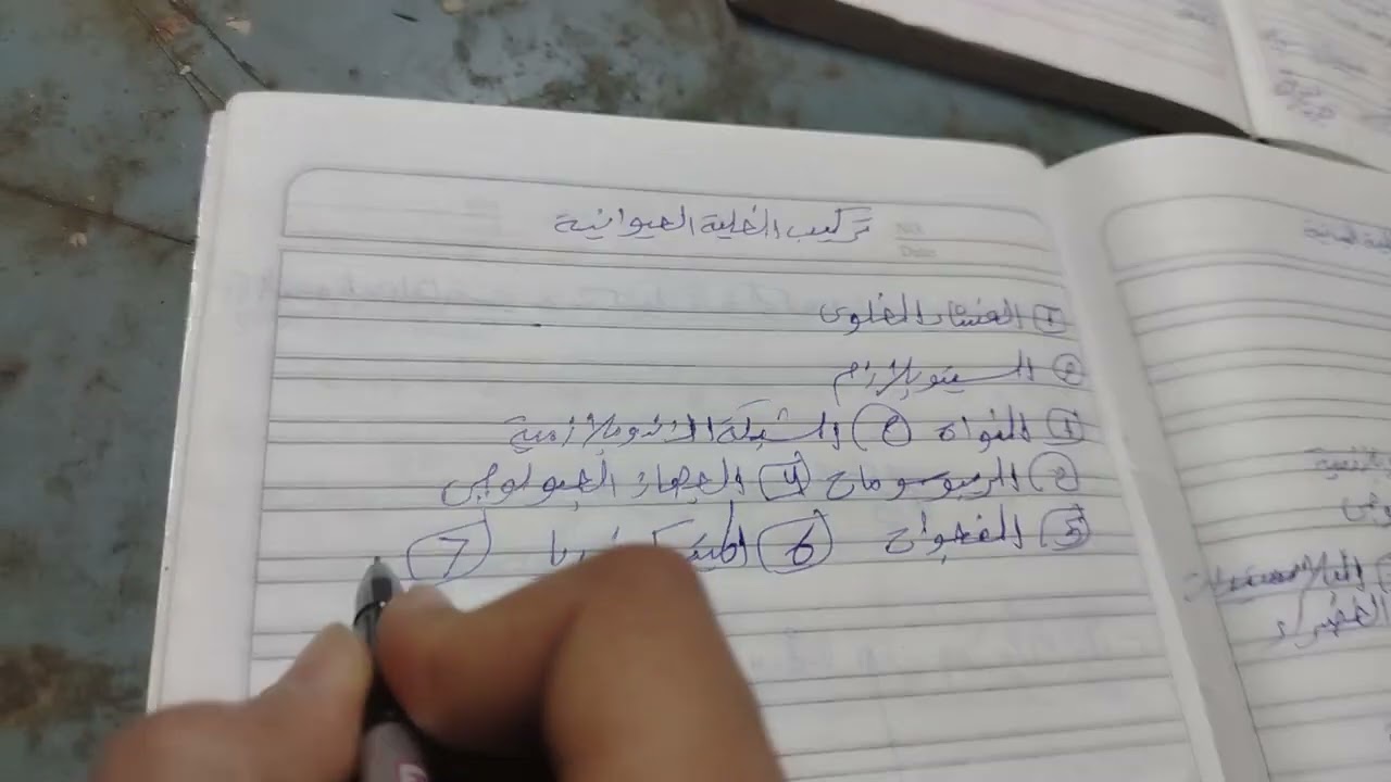 تركيب الخلية الحيوانية 