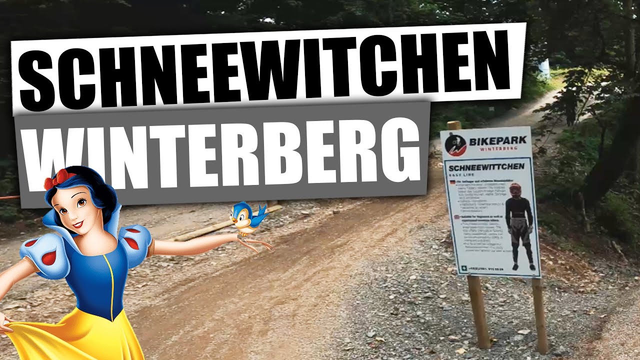 Schneewittchen Trail Bikepark Winterberg Anfänger Strecke - RAW RUN   Canyon Torque