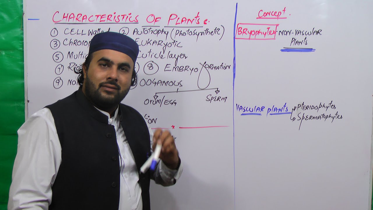 Diversity among plants | Lec # 2nd | Characteristics of plants |Alternation of generation in plant