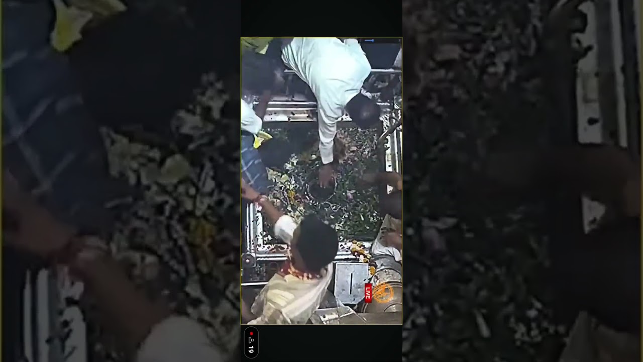 Baba vishwanath ji ka sparsh darshan #kashi #kashividhwanath #live #trending #viralvideo #shorts