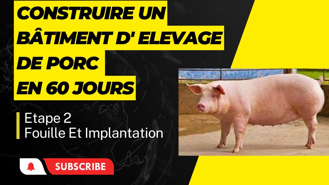 Comment Construire un Bâtiment d' Elevage de porc en moins de 60 jours?