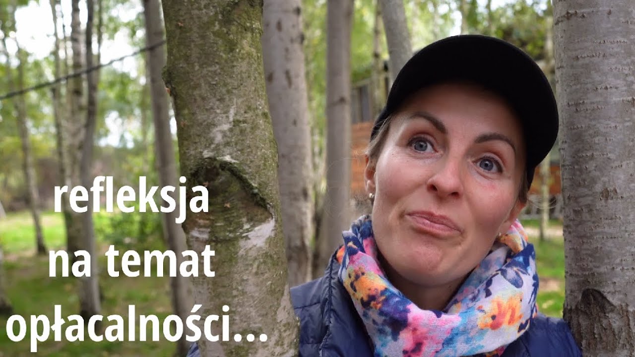 Рентабельность животноводства в хозяйстве, ориентированном на самообеспечение