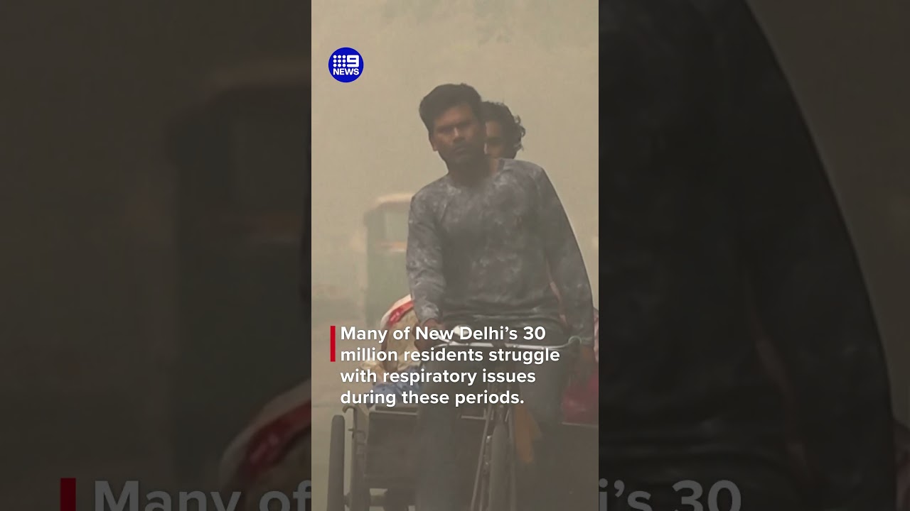 Diwali aftermath coats new Delhi in toxic smog | 9 News Australia
