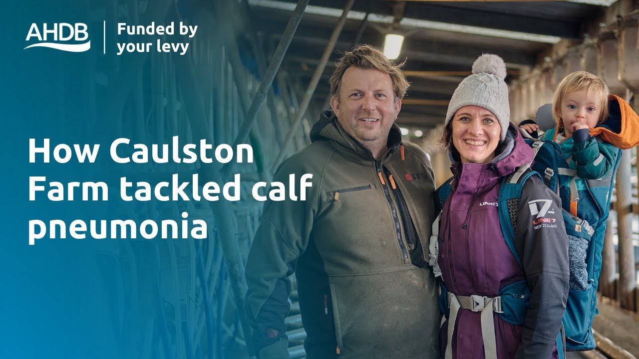 How Caulston Farm tackled calf pneumonia