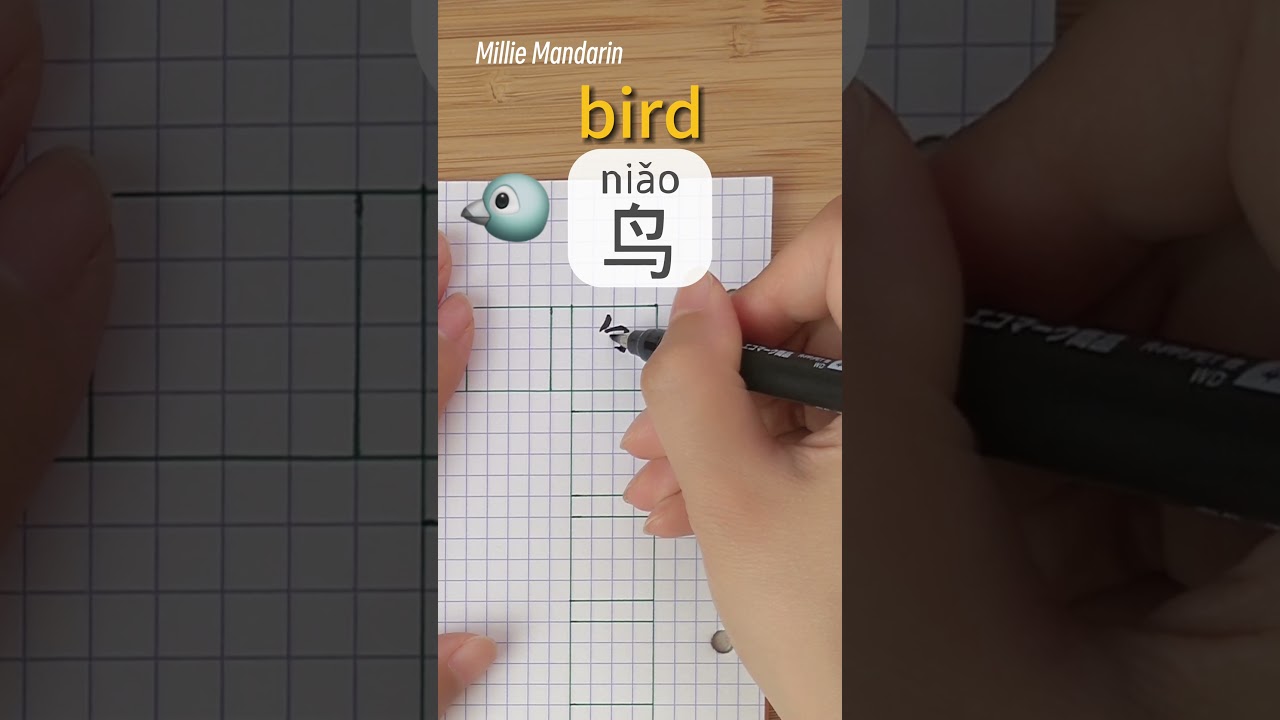 Naucz się chińskich znak&oacute;w⎮Niao: BIRD⎮Pismo odręczne⎮Chiński Hanzi⎮Pisz po chińsku⎮Millie Mandarin