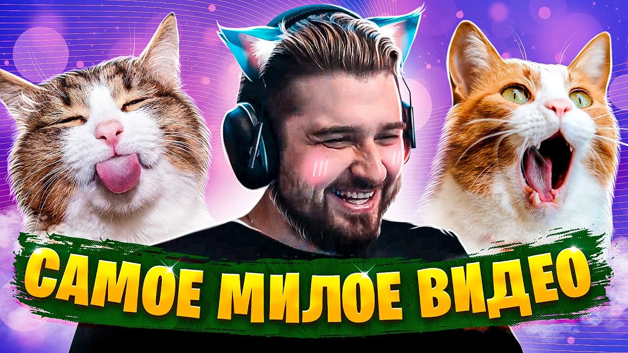 HARD PLAY СМОТРИТ ПРИКОЛЫ С ЖИВОТНЫМИ . КОШКИ И СОБАКИ . ПРИКОЛЫ 2021, COUB, TIK TOK