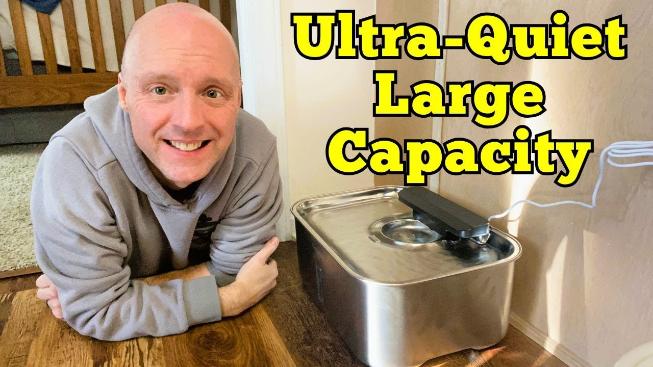 Pet Water Fountain Review: Ultra-Silent, Splash-Free, and Stainless Steel