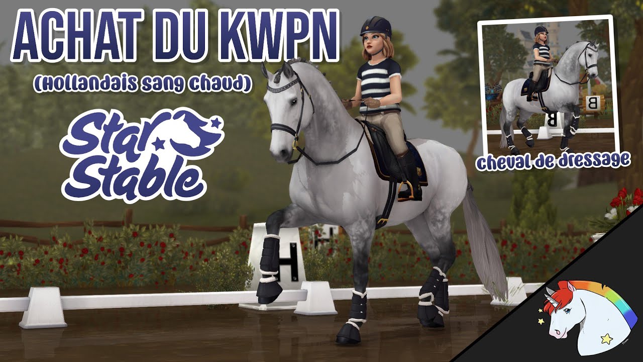 Le KWPN (Hollandais Sang Chaud) 💙| Star Stable Online
