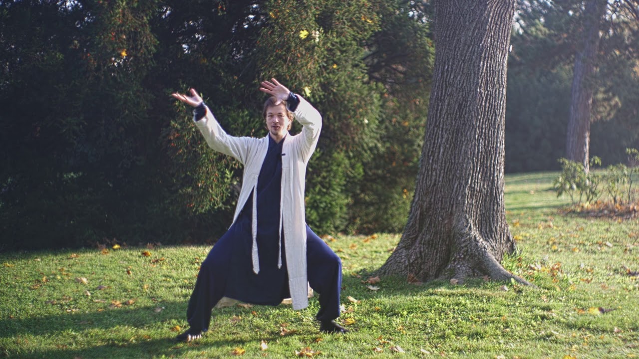 Tai He Quan - Learning the Movements - Part 3