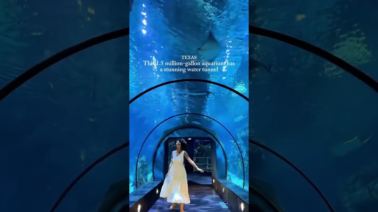 🪼Fun Things to do in Galveston/Houston One of the coolest parts of in is this massive aquarium