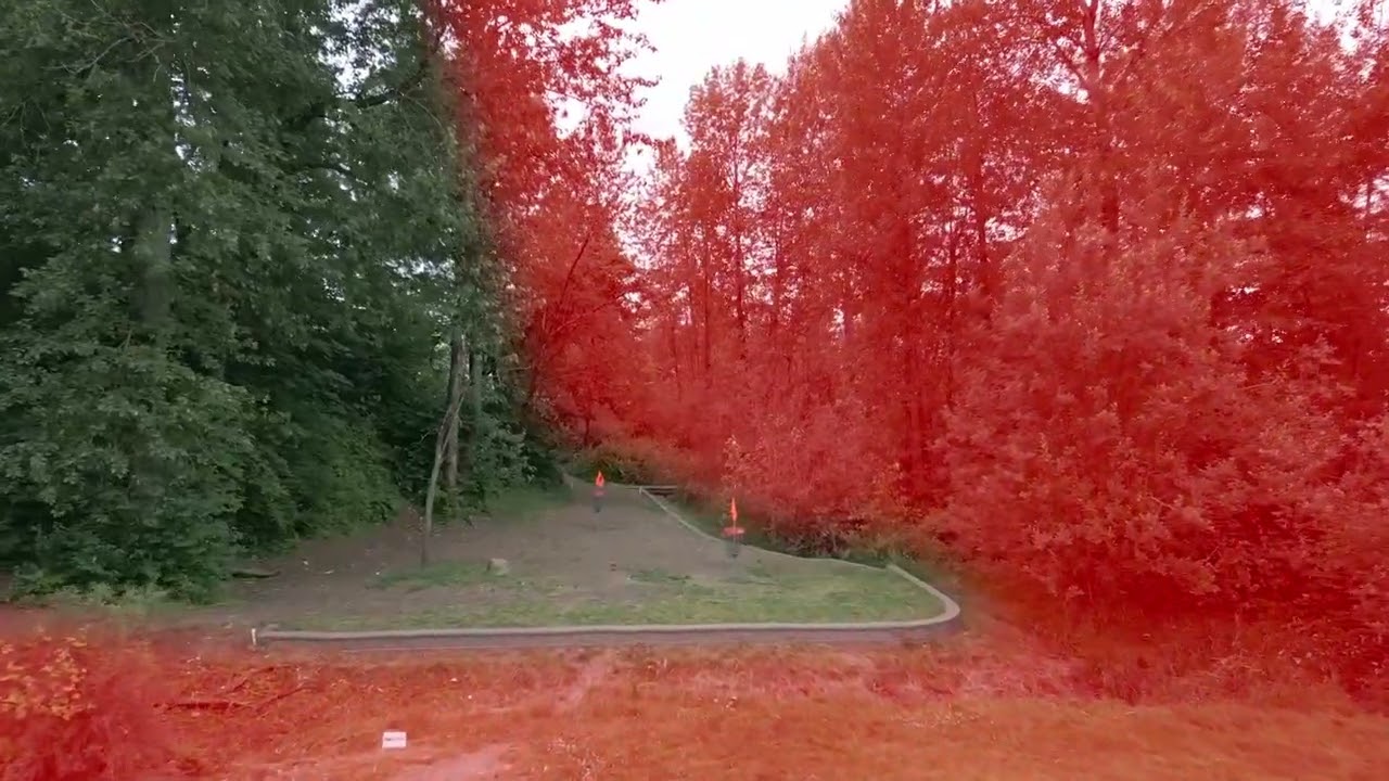 Hole 14 Reds