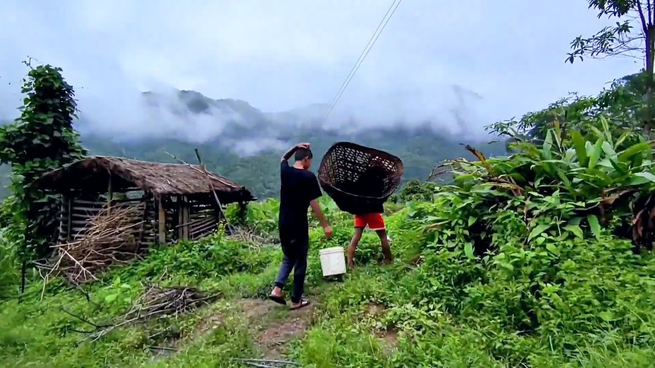 Wonderful Fish Farming in Rural Nepal || Beautiful Nepali Mountain Village Life