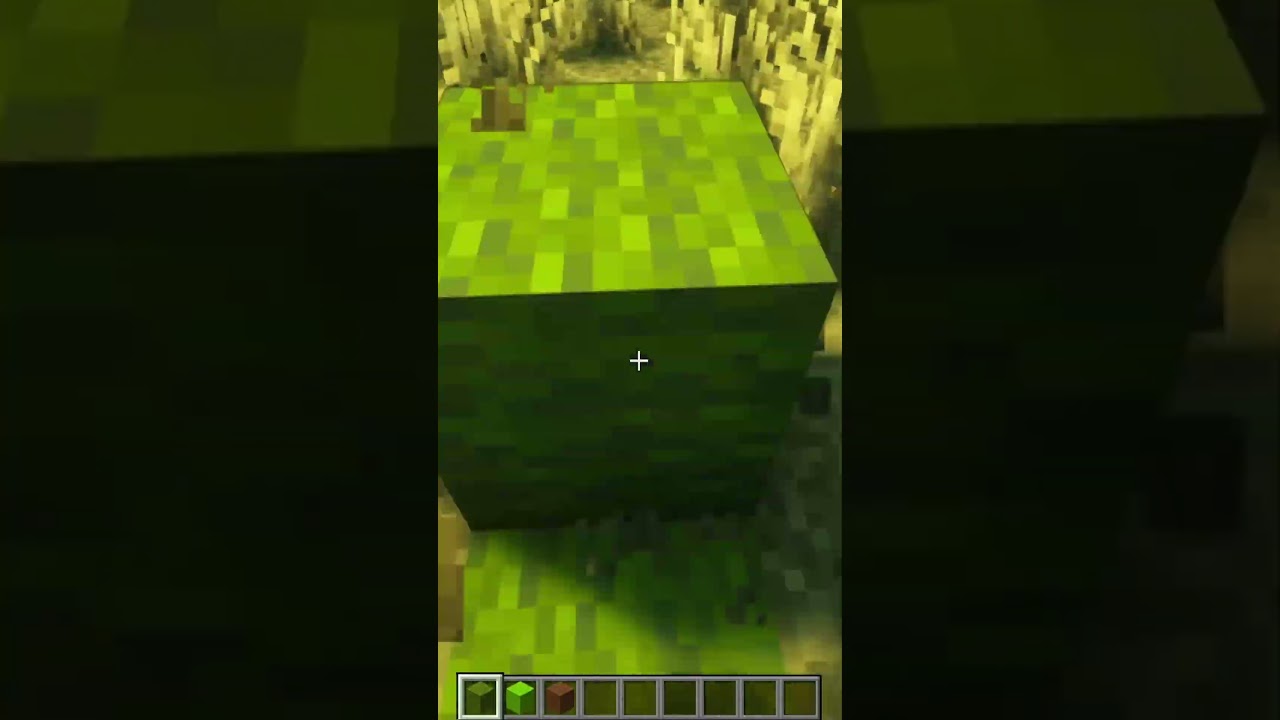 Meine Welt in Minecraft durch Wolle ersetzen #Challenge - TAG 8 | #shorts #gervtuber #minecraft