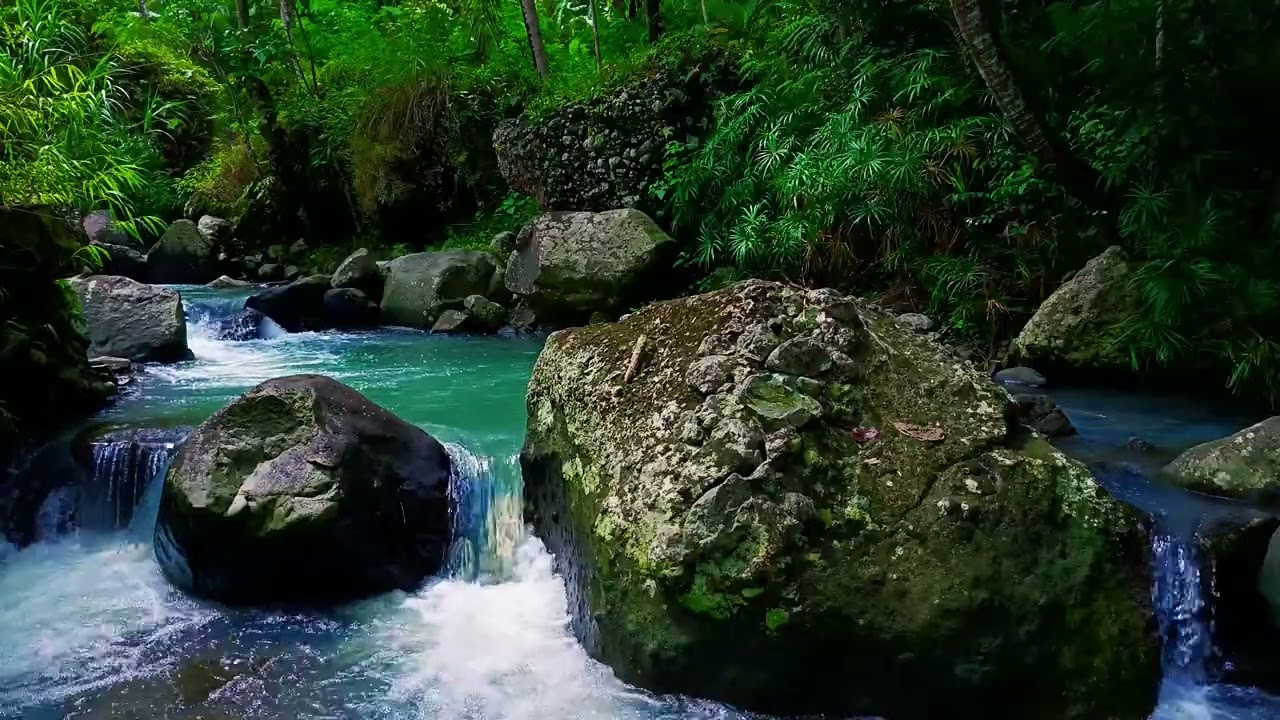 Nature’s River Serenity – Relax and Recharge in Nature’s Calm | sleep - relax - enjoy life - ASMR